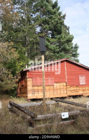 Una casa di pipistrelli nel Brooks Point Regional Park sulla South Pender Island nella British Columbia, Canada Foto Stock