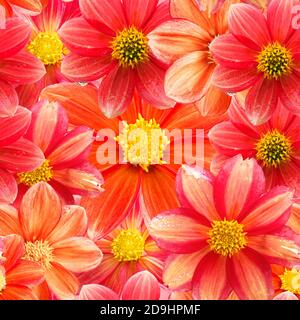 motivo floreale senza cuciture di vari fiori rossi Foto Stock
