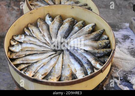 Primo piano di sardine fresche su un mercato in un scatola Foto Stock