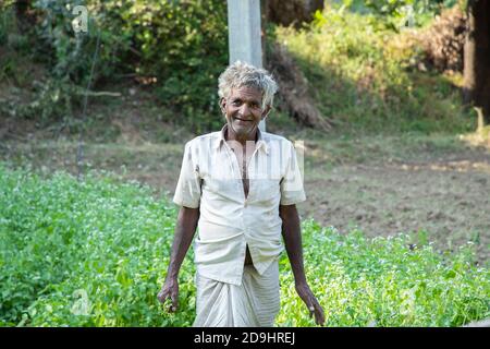 Ritratto di felice vecchio agricoltore indiano lavora in campo agricolo, raccolti verde verde vegetale raccolto, copia spazio. Foto Stock