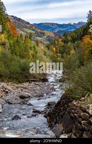 Der Bergbach fliesst durch den bunten Herbstwald. Il ruscello di montagna scorre attraverso la colorata foresta autunnale. Mellau, Bregenzerwald, Austria