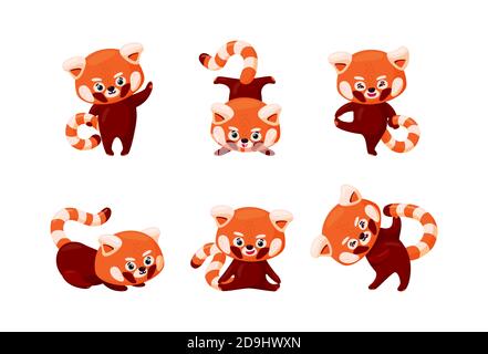 Set panda rosso. Carino panda rosso bambino che stretching e pratica yoga. Animali del bambino che fanno esercizi di stratificazione isolati in sfondo bianco. Vettore Illustrazione Vettoriale