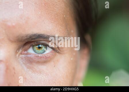 Primo piano di una donna con bellissimi occhi verdi (metà della cornice del viso) che si affacciano sulla fotocamera con sfondo verde di vegetazione. Foto Stock