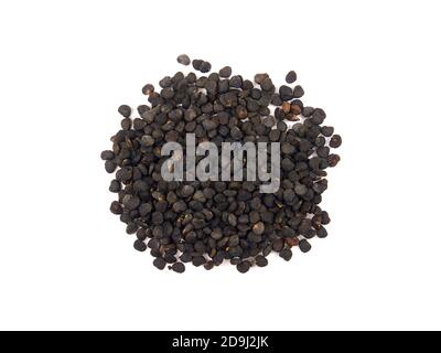 Semi di Jimson Weed isolati su sfondo bianco. Stramonio di Datura Foto Stock