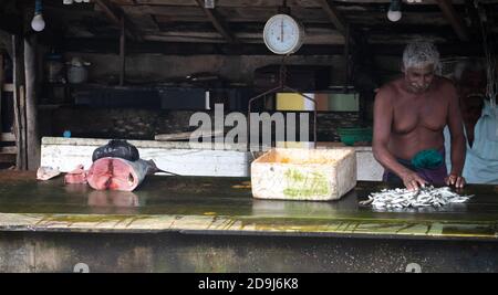 Weligama, Provincia del Sud / Sri Lanka - 7 26 2020: Venditore di pesce taglio e preparazione di piccoli pesci da vendere. Foto Stock