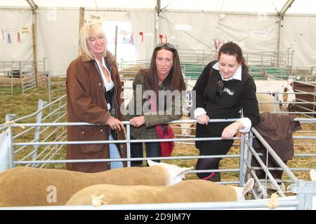 Ayr Agricultural show, Ayrshire, Scozia UK.. Una delle più grandi mostre agricole della Scozia che si tiene all'ippodromo di Ayr. Tre donne ammirano le pecore Foto Stock