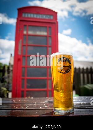 Pinta di birra Punk IPA con scatola del telefono Foto Stock