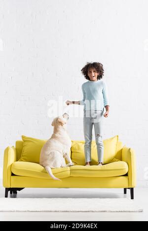 Eccitata ragazza afroamericana in piedi sul divano vicino a Retriever, mentre si guarda la fotocamera a casa Foto Stock