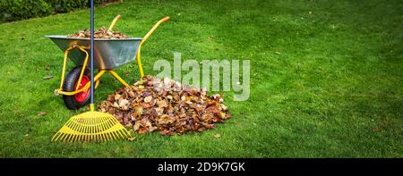 scricchiolando foglie di autunno caduto da prato cortile. copia spazio Foto Stock