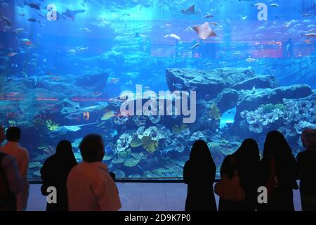 Persone che si trovano di fronte all'acquario del Dubai Mall, Dubai, Emirati Arabi Uniti Foto Stock