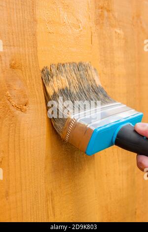 Verniciatura di un recinto o un capannone con preservante del legno per proteggerlo dagli elementi Foto Stock