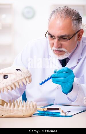 Vecchio paleontologo maschile che lavora in laboratorio Foto Stock