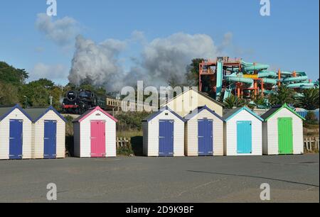 Treno a vapore che passa da Goodrington sulla ferrovia a vapore di Dartmouth. Foto Stock