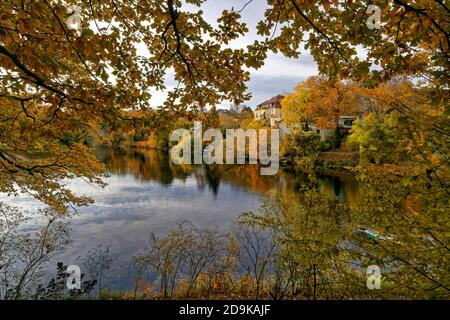 Koenigssee im Herbst, Bezirk Charlottenburg-Wilmersdorf in der Villenkolonie Grunewald, Berlino, Germania Foto Stock