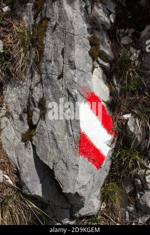 Segnaletica orizzontale austriaca. Foto Stock