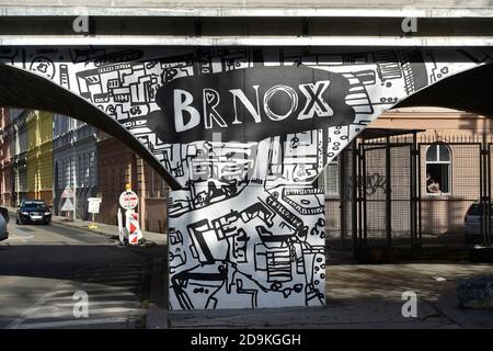 Brno, Repubblica Ceca. 05 novembre 2020. Il Brnox, un progetto di arte sociale di Katerina Seda in via Vlhka a Brno, Repubblica Ceca, il 5 novembre 2020. Seda si è concentrata sulla vita quotidiana nel quartiere della città di Brno chiamato Bronx, abitata da romeni e poveri in generale. Credit: Vaclav Salek/CTK Photo/Alamy Live News Foto Stock
