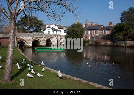 Town Bridge, Castle Street, Christchurch, Dorset, Inghilterra Foto Stock