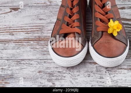 Sneaker unisex marroni con fiore giallo. Foto Stock