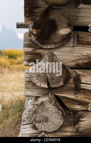 Particolare della vecchia storica cabina in legno di Cunningham costruita nel 1888. Grand Teton National Park, Wyoming, Stati Uniti. Foto Stock