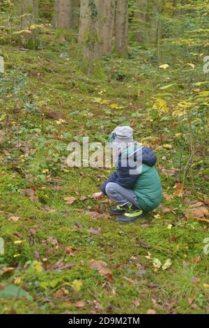 Famiglia raccolta funghi nella foresta Foto Stock