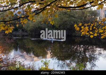 Glasgow, Scozia, Regno Unito. 6 novembre 2020. Regno Unito Meteo. Un vogatore sul fiume Clyde. Credito: SKULLY/Alamy Live News Foto Stock