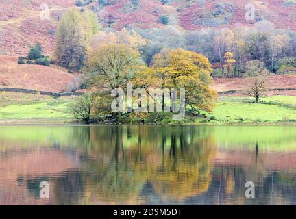 Riflessioni a Rydal Water Foto Stock