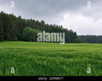 Achsheim, comune di Langweid am Lech, distretto di Augusta, Svevia (Baviera), Stato libero di Baviera, Germania, Augusta Parco Naturale delle foreste occidentali, Holzwinkel Foto Stock