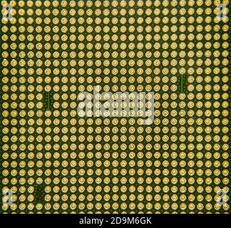 Pin della CPU. Unità processore centrale capovolta Foto Stock