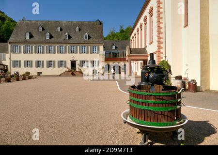 Monastero di Machern vicino a Zeltingen-Rachtig, Valle della Mosella, Renania-Palatinato, Germania Foto Stock