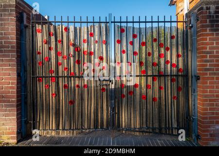 Lyndhurst, Hampshire, Regno Unito. 6 novembre 2020. Il Poppy Appeal ha dovuto adattarsi quest'anno a causa del secondo blocco in Inghilterra a causa della pandemia del Coronavirus covid-19, e la gente ha trovato modi diversi per commemorare la Giornata della memoria. I bambini della St Michael e della All Angels Infant School di Lyndhurst hanno decorato le porte della scuola con papaveri rossi. Foto Stock