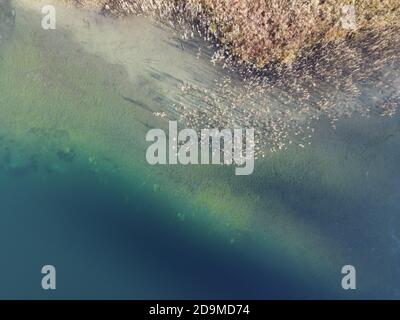 Vista aerea di alcune canne che gettano lunghe ombre in un lago alpino Foto Stock