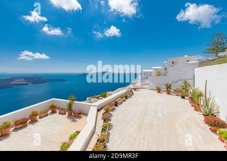 Bellissima terrazza a Santorini con vista mozzafiato. Vasi da fiori con vista pittoresca sulle tradizionali case delle cicladi di Santorini Foto Stock