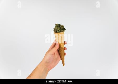 Mano della donna che tiene un cono gelato pieno di boccioli di marijuana, fiori di marijuana essiccati. Isolato su sfondo bianco. Dolce dipendenza Foto Stock
