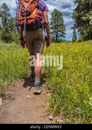 La donna cammina lungo il Black Bear Trail, il Mancos state Park, Mancos, Colorado. Foto Stock