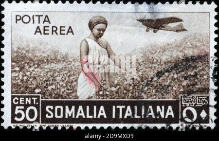 Donna in un campo di cotone sul vecchio timbro della Somalia Foto Stock