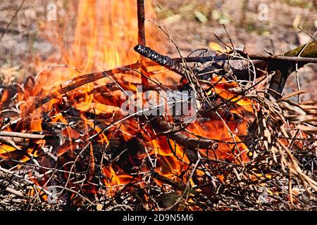 Falò nel cespuglio in una giornata di sole, fuoco, legno, all'aperto Foto Stock