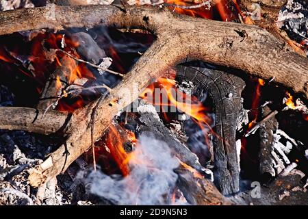 Falò nel cespuglio in una giornata di sole, fuoco, legno, all'aperto Foto Stock