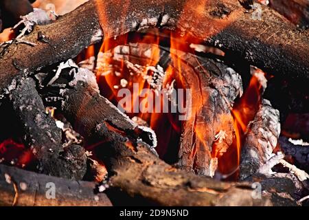 Falò nel cespuglio in una giornata di sole, fuoco, legno, all'aperto Foto Stock