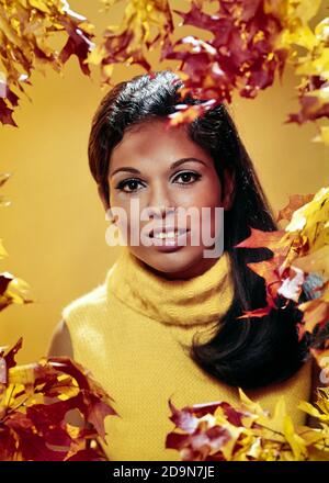 RITRATTO 1960 DONNA AFROAMERICANA CON CAPELLI LUNGHI E DOLCEVITA GIALLO MAGLIONE INCORNICIATO DA FOGLIE AUTUNNALI GUARDANDO LA MACCHINA FOTOGRAFICA - KG5972 PHT001 HARS STUDIO SHOT NATURA COPIA SPAZIO SIGNORE PERSONE OCCHIO CONTATTO ABBASTANZA FELICITÀ TESTA E SPALLE ALLEGRE UNIVERSITÀ AFROAMERICANI AFROAMERICANI-AMERICANI L'ETNIA NERA LA STAGIONE AUTUNNALE SORRIDE IL COLLEGAMENTO DI ISTRUZIONE SUPERIORE INCORNICIATO GIOIOSO ELEGANTI COLLEGE ATTRAENTE GIOVANE DONNA ADULTA AUTUNNALE AUTUNNO FOGLIAME VECCHIO AFROAMERICANI CON DOLCEVITA ALLA MODA Foto Stock