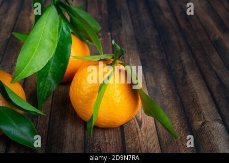 Colpo di closeup di mandarini freschi con foglie verdi su a. sfondo boscoso Foto Stock