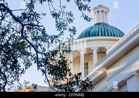 La cupola della Barton Academy, la prima scuola pubblica in Alabama, è raffigurata, il 31 ottobre 2020, a Mobile, Alabama. Foto Stock