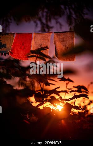 bandiere di preghiera nepalesi che sventolano durante il tramonto Foto Stock