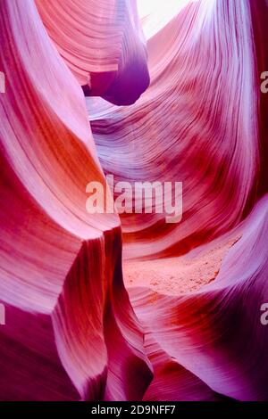 Milioni di anni di inondazioni in flash producono splendidi motivi e colori vorticosi in canyon di arenaria. Lower Antelope Canyon, Page, AZ Foto Stock