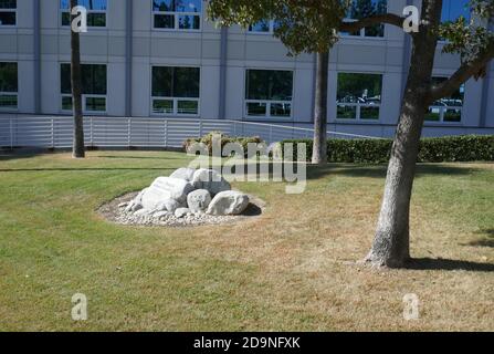 Arcadia, California, USA 4 novembre 2020 UNA visione generale dell'atmosfera del River Phoenix Memorial Garden presso il Methodist Hospital a 300 W. Huntington Drive il 4 novembre 2020 ad Arcadia, California, USA. Foto di Barry King/Alamy Stock foto Foto Stock