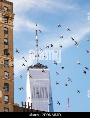 Manhattan, New York, Stati Uniti. 06 novembre 2020. Una vista generale della cima della Freedom Tower mentre i piccioni sorvolano a Manhattan, New York. Credito obbligatorio: Kostas Lymperopoulos/CSM/Alamy Live News Foto Stock