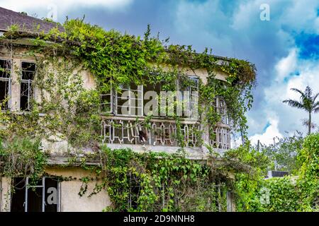 Casa vittoriana dilapide, Mauritius, Africa, Oceano Indiano Foto Stock