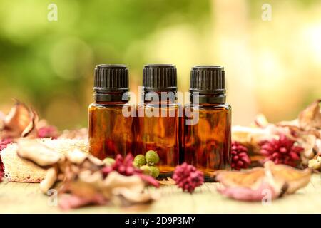 Un primo piano di bottiglie d'olio essenziali color ambra circondate da fiori secchi con fondo bokeh Foto Stock