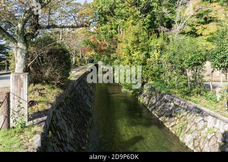 Vista del sentiero dei Filosofi (哲学の道, Tetsugaku no michi), un percorso in pietra lungo un canale attraverso la parte settentrionale del quartiere Higashiyama di Kyoto. Foto Stock