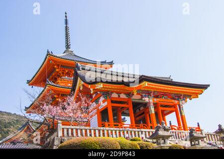 Bella architettura all'interno del tempio Kiyomizu-dera durante la fioritura dei ciliegi (sakura) stanno per fiorire a Kyoto, Giappone. Foto Stock
