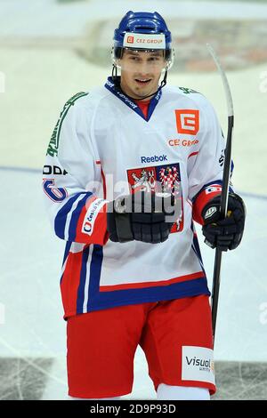 Praga, Repubblica Ceca. 19 dicembre 2013. Tomas Mojzis della Repubblica Ceca ritratto durante l'hockey su ghiaccio Channel One Cup match Repubblica Ceca contro Finlandia, 2:0, giocato a Praga, Repubblica Ceca, dicembre 19. 2013. /PSPA/Slavek Ruta. *** Local Caption Credit: Slavek Ruta/ZUMA Wire/Alamy Live News Foto Stock